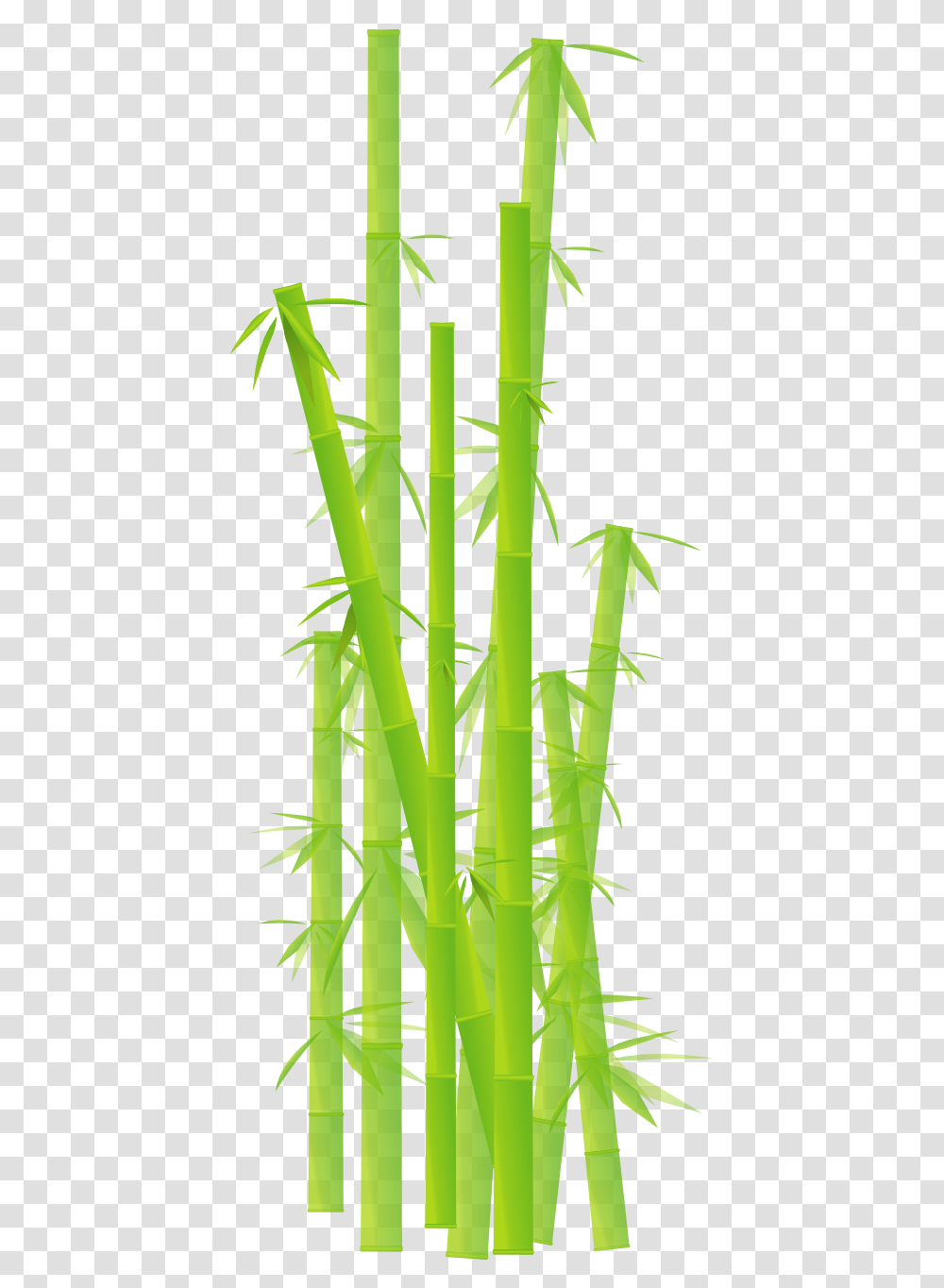 Free Bamboo Background Cliparts National Bamboo Mission Upsc, Plant Transparent Png