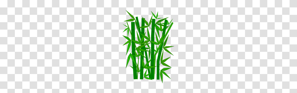 Free Bamboo Fence Clipart And Vector Graphics, Plant, Grass, Green, Lawn Transparent Png