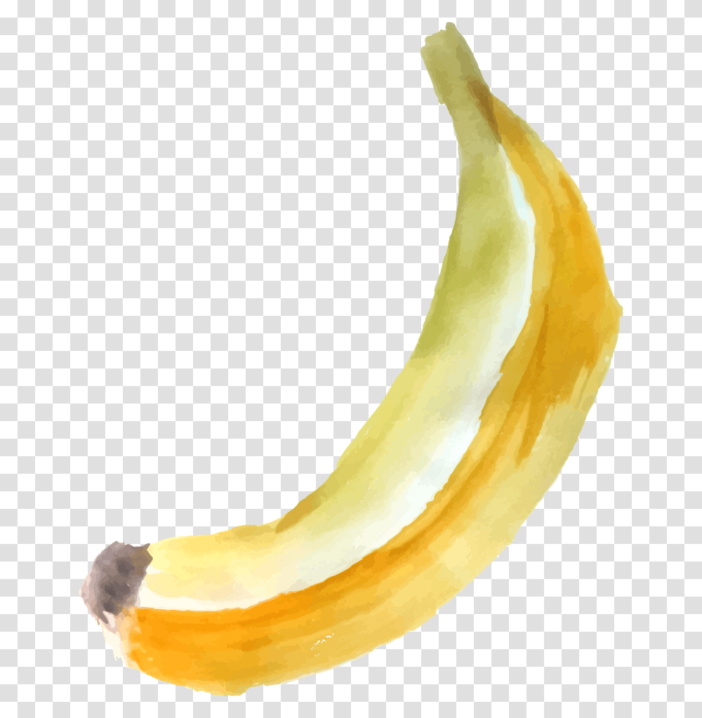 Free Banana With Background Saba Banana, Fruit, Plant, Food, Peel Transparent Png