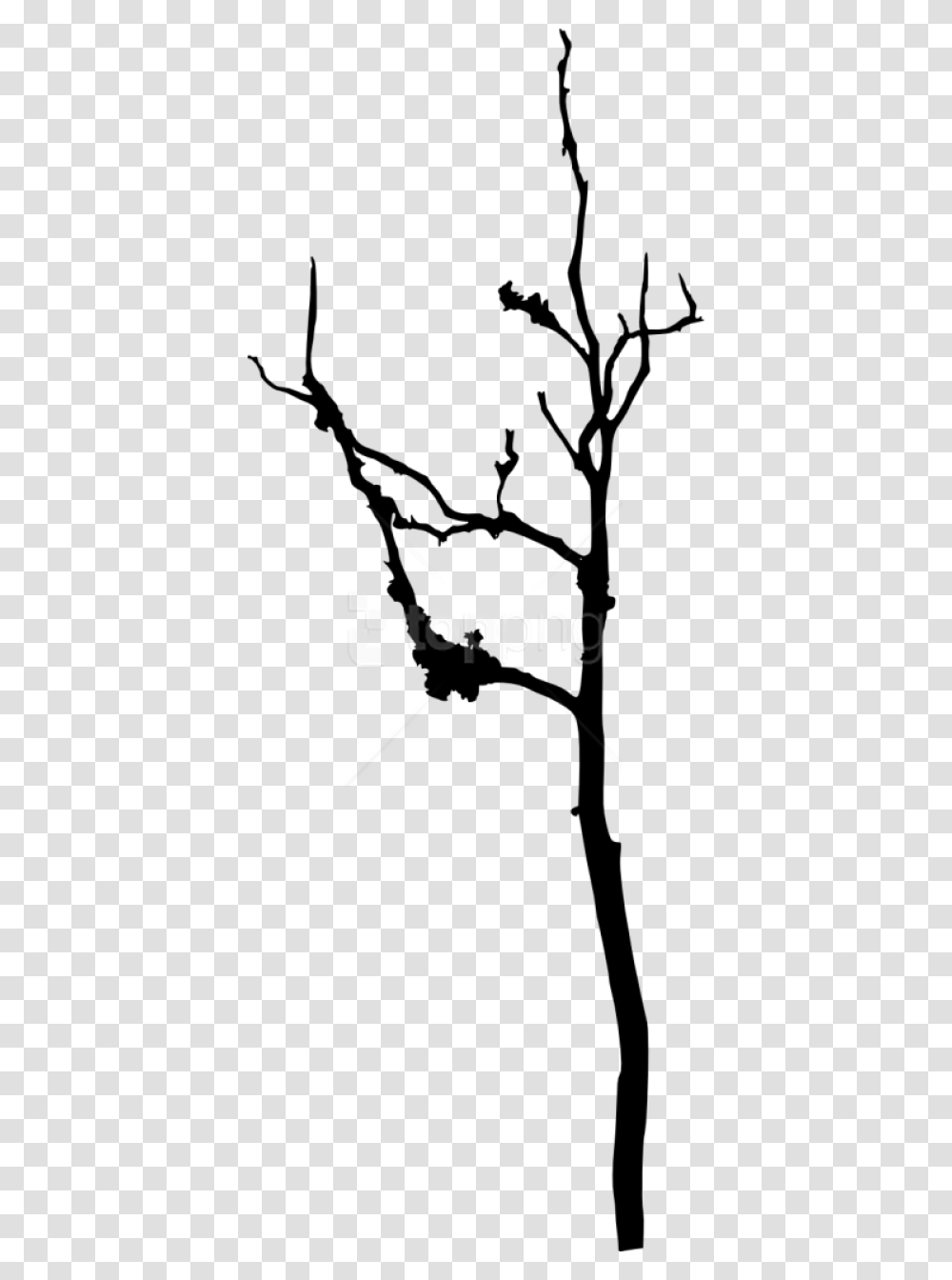 Free Bare Tree Silhouette Images Silhouette, Bow, Plant, Stencil Transparent Png