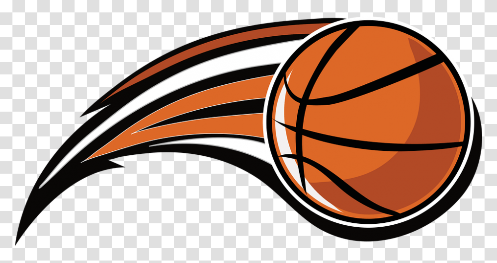 Free Basketball & Ball Vectors Pixabay Bola De Basketball Vector, Bird, Animal, Sport, Sports Transparent Png