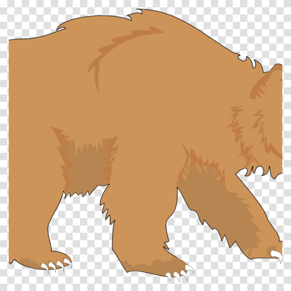 Free Bear Clipart Graduation Cap Clipart House Clipart Online, Wildlife, Animal, Mammal, Brown Bear Transparent Png