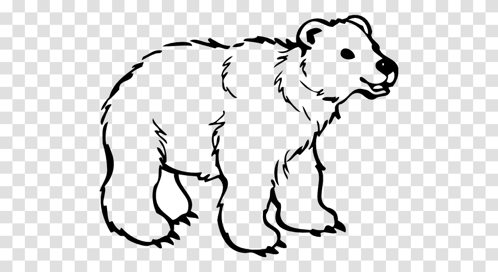 Free Bear Clipart, Stencil, Mammal, Animal, Wildlife Transparent Png