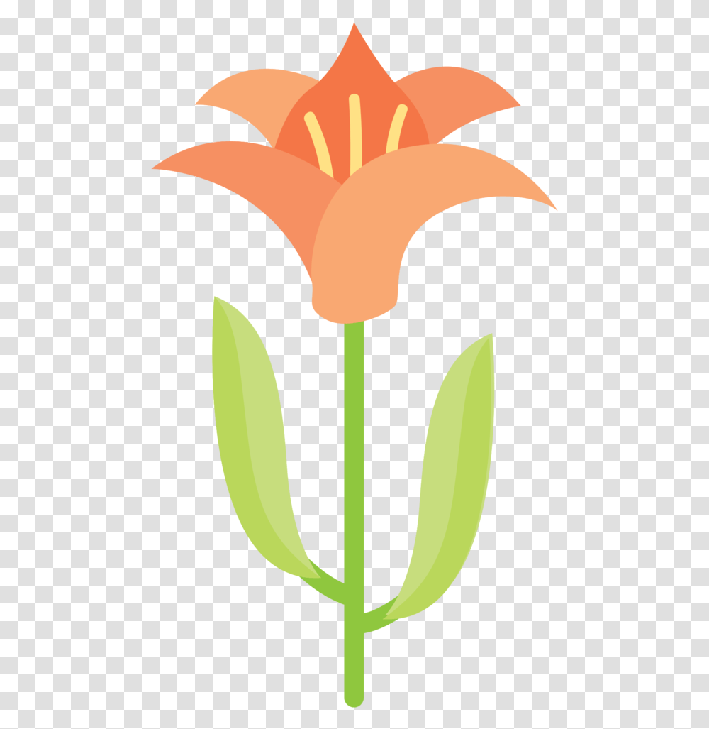 Free Beautiful Flower With Background Flower, Plant, Tulip, Anther, Petal Transparent Png