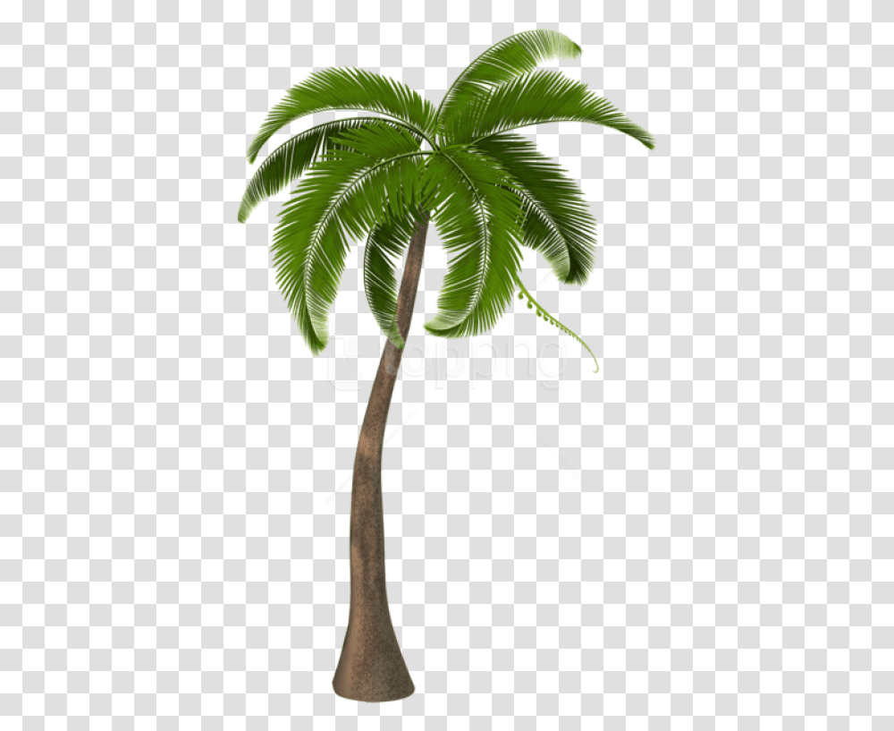 Free Beautiful Palm Tree Images Background Tree Images Hd, Leaf, Plant, Green, Annonaceae Transparent Png