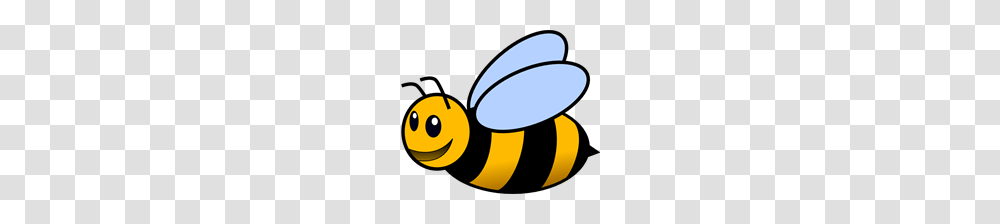 Free Bee Clipart Bee Icons, Wasp, Insect, Invertebrate, Animal Transparent Png