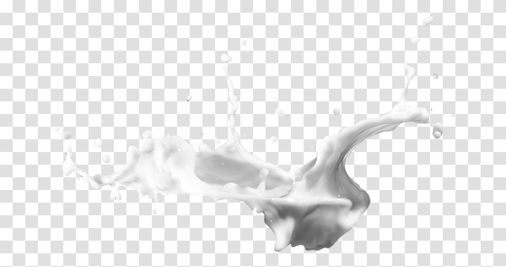 Free Beer Art For Photoshop Milk Splash Brush Photoshop, Beverage, Drink, Bird, Animal Transparent Png