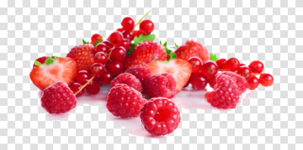 Free Berries Images Red Berries, Raspberry, Fruit, Plant, Food Transparent Png