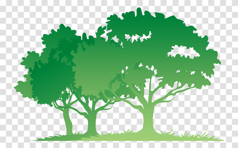 Free Bible Download Vector Tree With Roots, Plant, Green, Leaf, Vegetable Transparent Png
