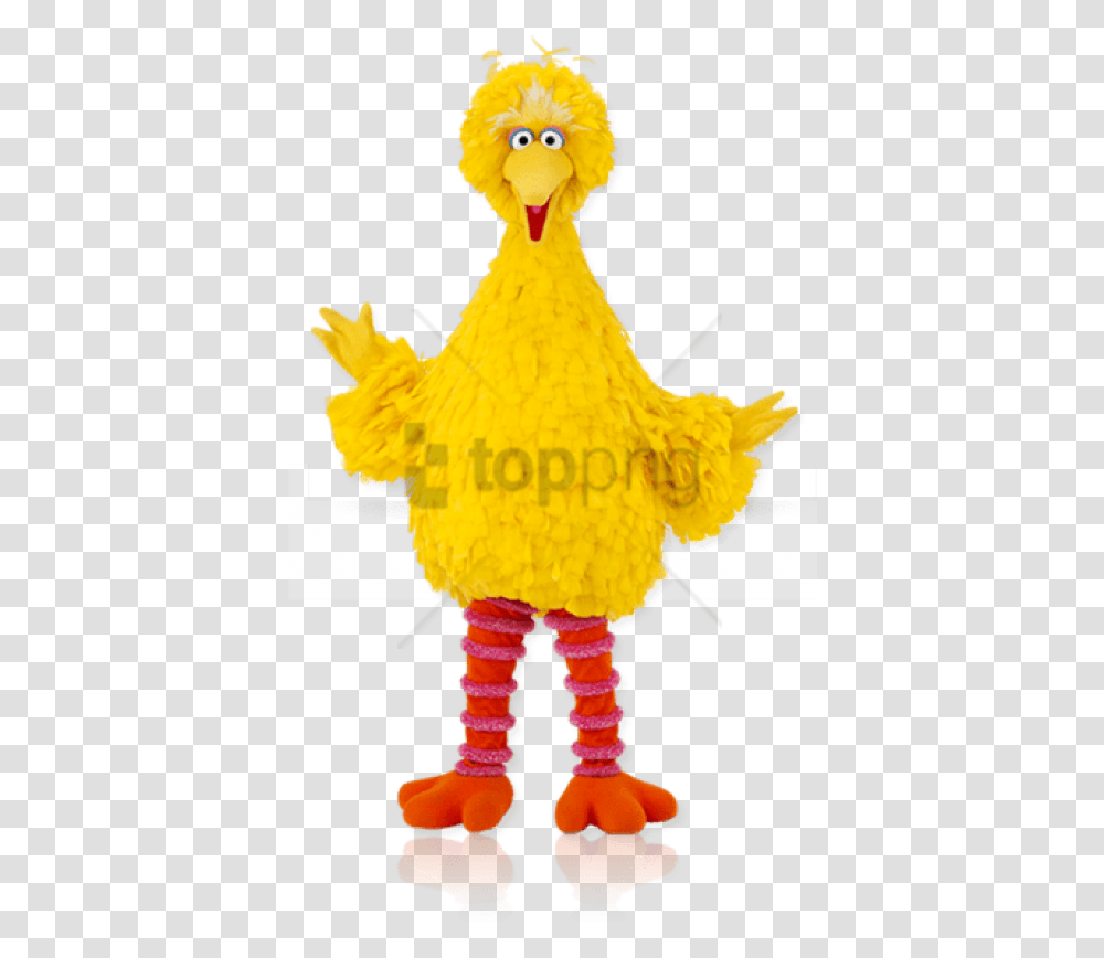 Free Big Bird High Resolution Images Big Bird Sesame Street, Toy, Animal, Fowl, Poultry Transparent Png