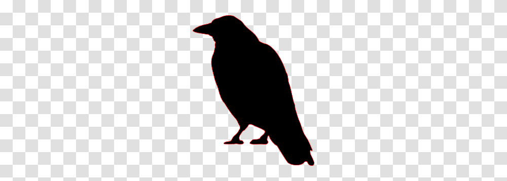 Free Bird Clip Art From High Above, Animal, Outdoors, Nature Transparent Png