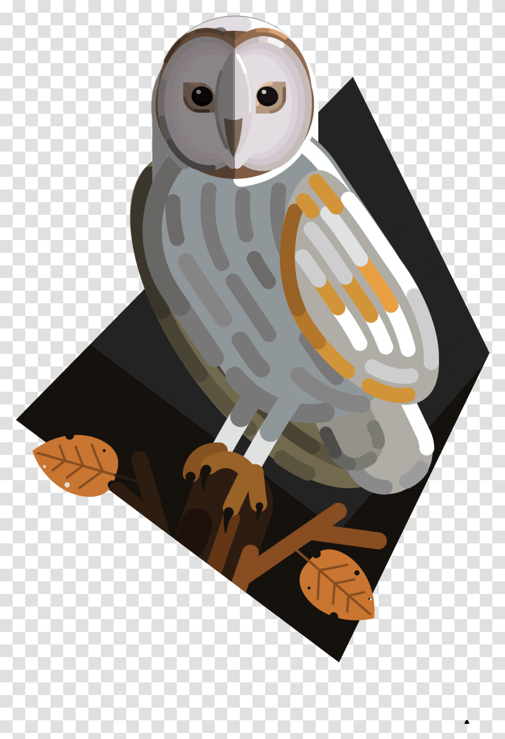Free Bird Konfest Illustration, Owl, Animal Transparent Png
