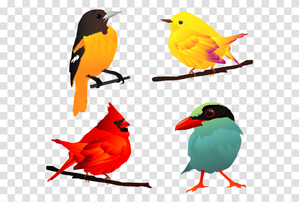 Free Bird Vector Beautiful Birds Vector, Animal, Finch, Canary Transparent Png