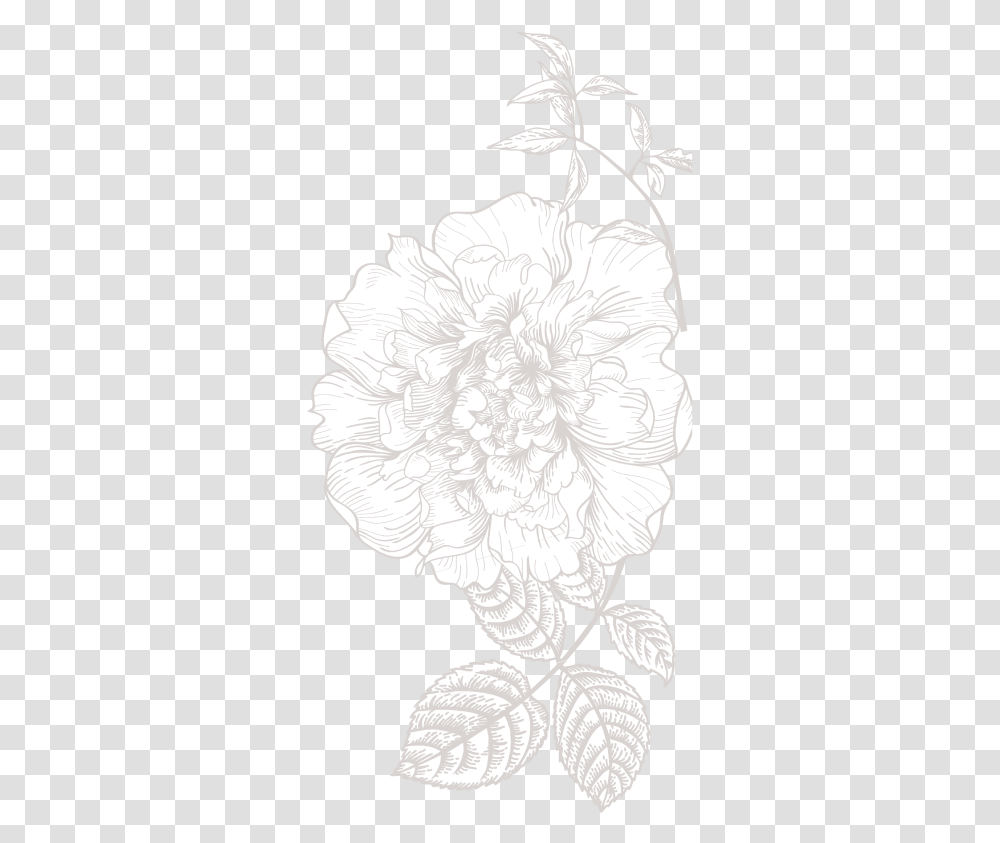 Free Black And White Flower Illustration Download Clip Flower Illustration White, Plant, Blossom Transparent Png