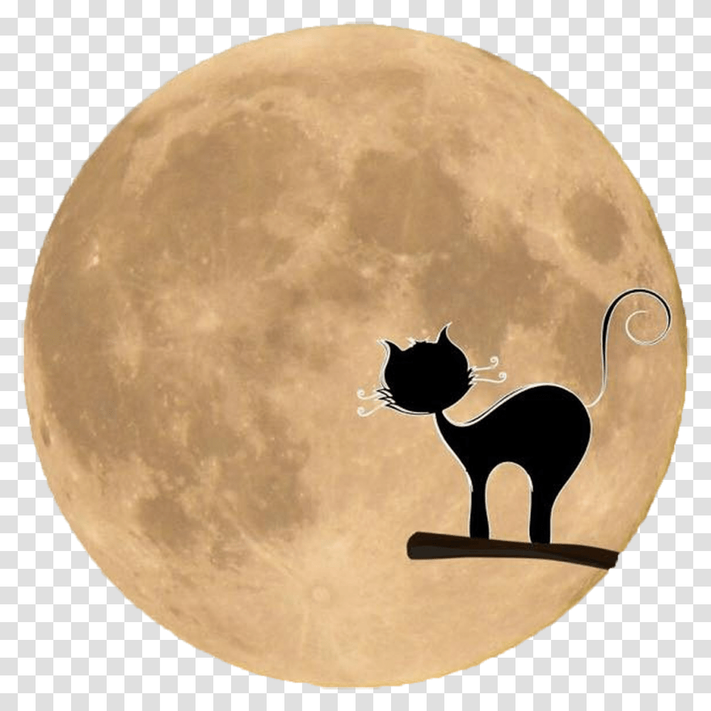 Free Black Cat Silhouette In Front Of The Moon Crne Macke Slike, Outer Space, Night, Astronomy, Outdoors Transparent Png