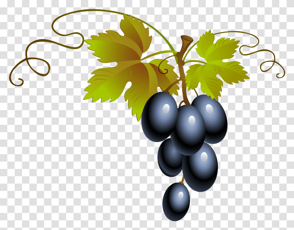 Free Blackberry Konfest, Plant, Grapes, Fruit, Food Transparent Png