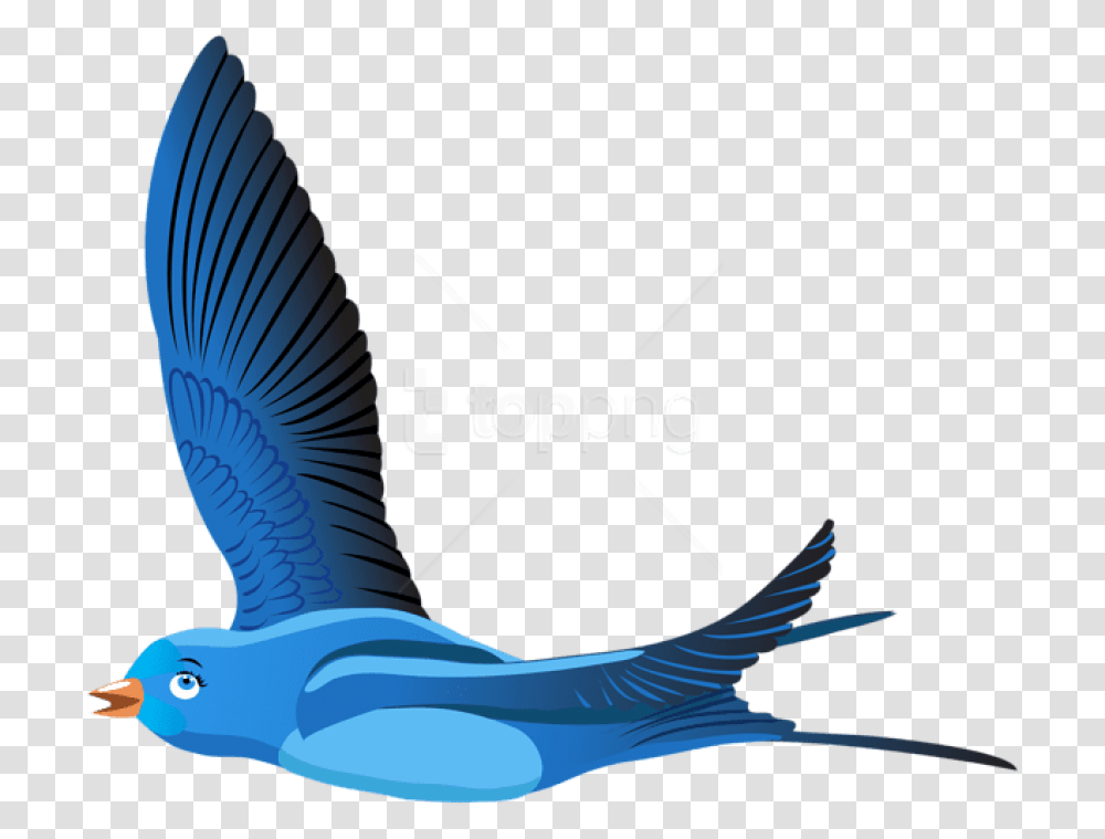 Free Blue Bird Cartoon Clipart Flying Bird Clipart Background, Jay, Animal, Blue Jay, Seagull Transparent Png