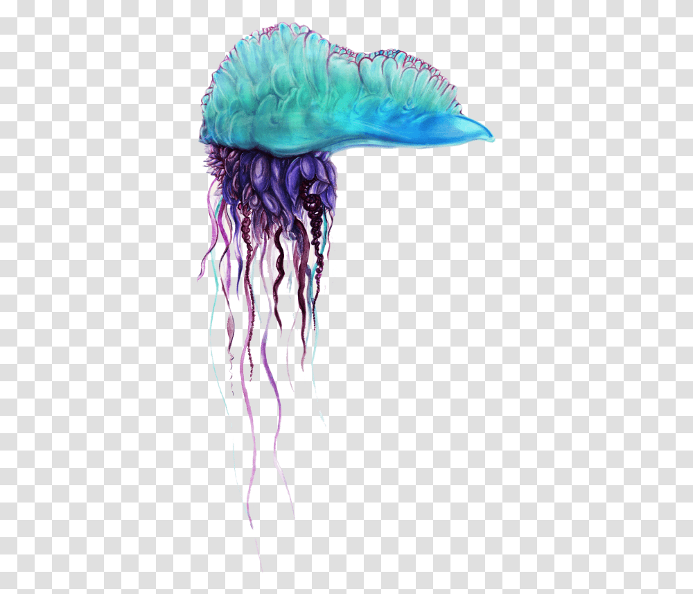 Free Blue Bottle Jellyfish Pics Images Clipart Portuguese Man O War, Invertebrate, Sea Life, Animal, Bird Transparent Png