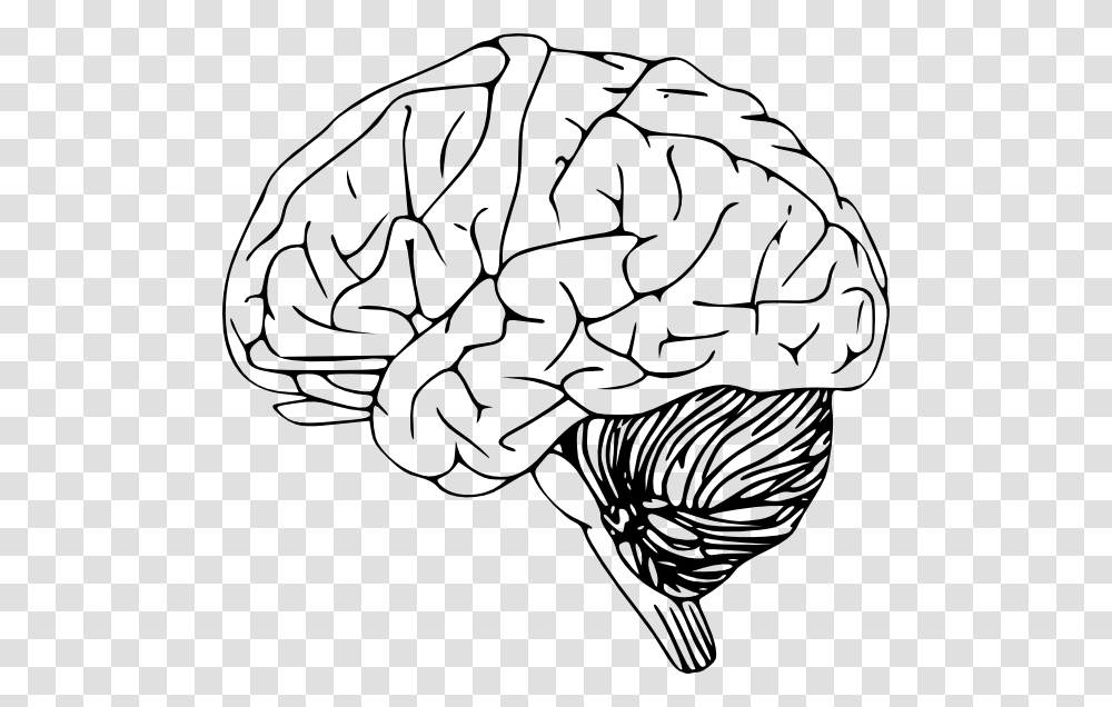 Free Brain Clipart Black And White Image Brain Clip Art, Vegetable, Plant, Food, Produce Transparent Png