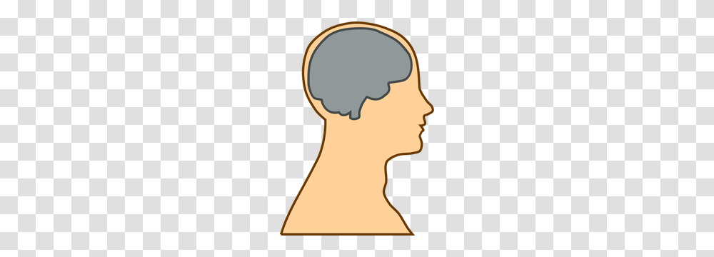Free Brain Vector Illustration, Neck, Head, Label Transparent Png