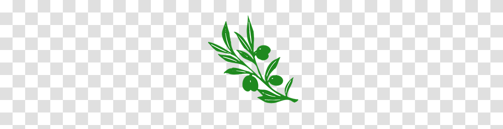 Free Branch Clipart Branch Icons, Plant, Leaf, Flower, Jar Transparent Png