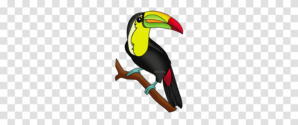 Free Brazil Power Point Templates, Bird, Animal, Beak, Vulture Transparent Png