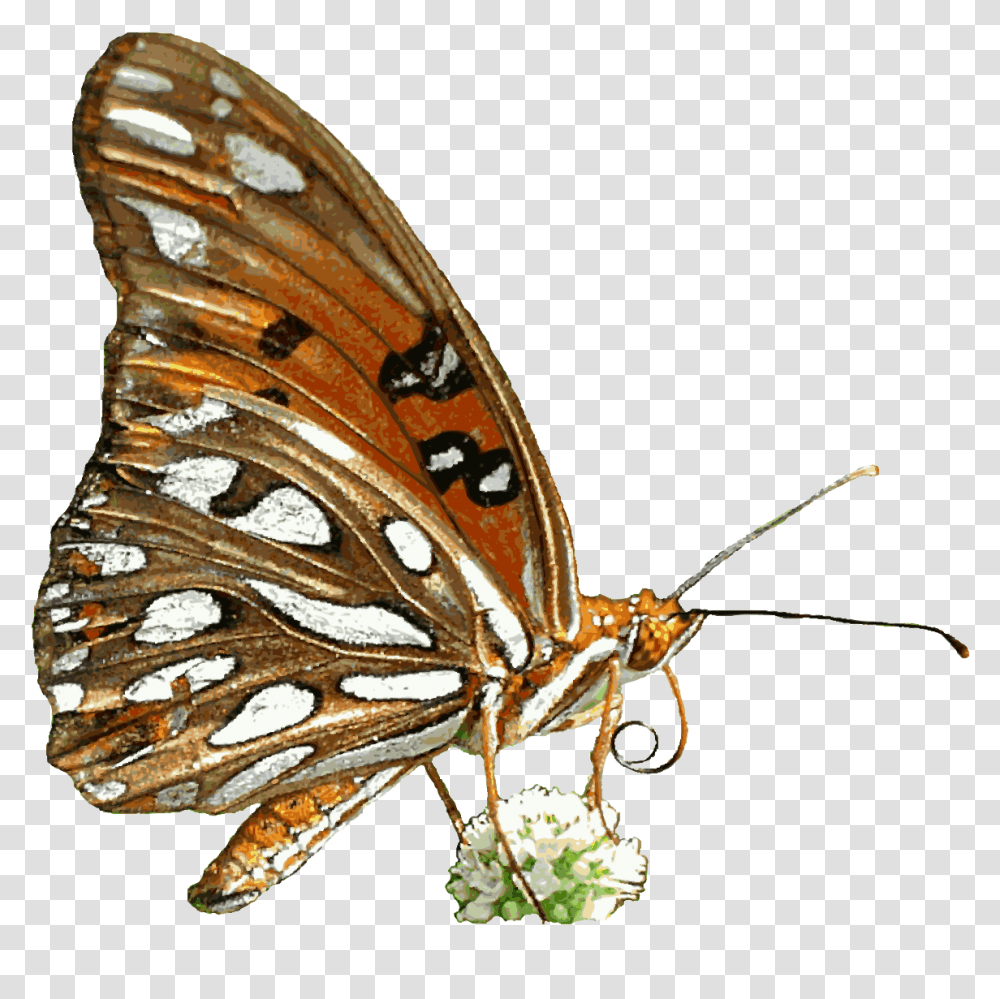 Free Butterfly Animated Clipart Background Animated Butterfly Gif, Insect, Invertebrate, Animal, Monarch Transparent Png