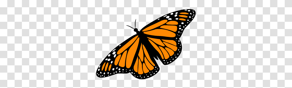 Free Butterfly Animated Gif Background Butterfly Gifs, Monarch, Insect, Invertebrate, Animal Transparent Png
