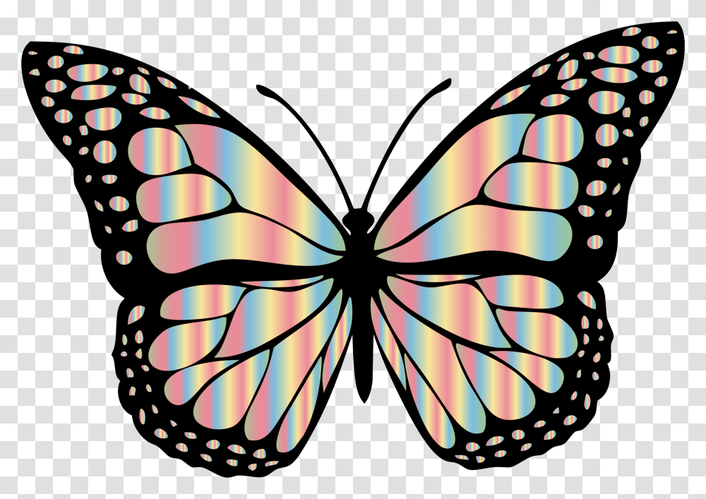Free Butterfly Black And Grey Butterfly, Pattern, Ornament, Insect, Invertebrate Transparent Png