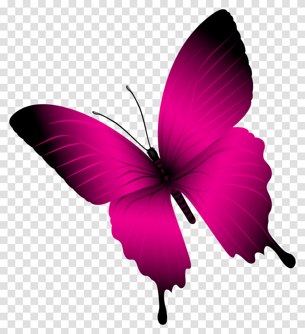 Free Butterfly, Hibiscus, Flower, Plant, Blossom Transparent Png