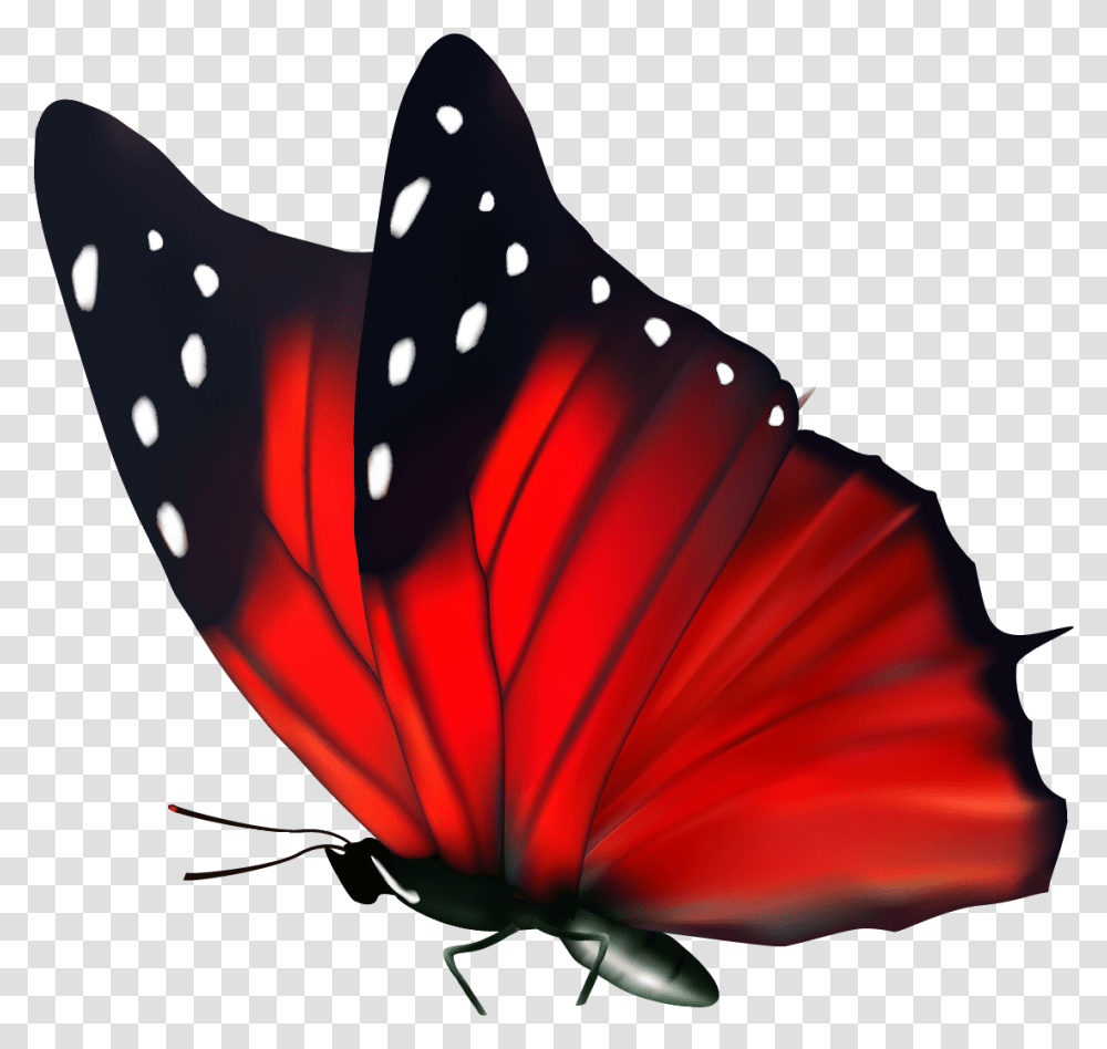 Free Butterfly Red, Insect, Invertebrate, Animal Transparent Png