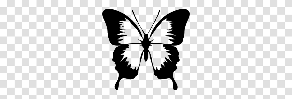 Free Butterfly Vector, Bow, Invertebrate, Animal, Insect Transparent Png