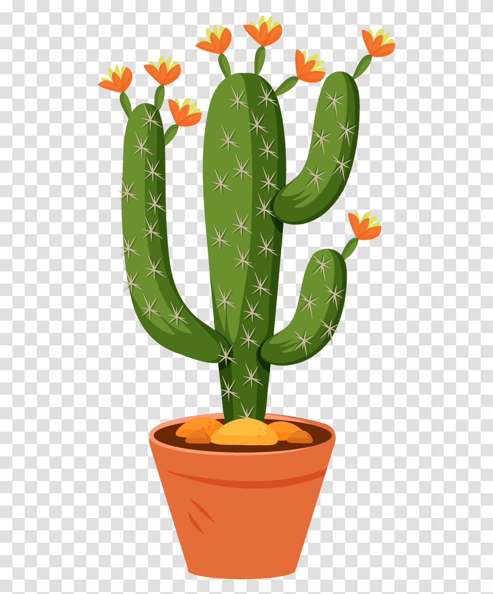 Free Cactus Cactus, Plant Transparent Png