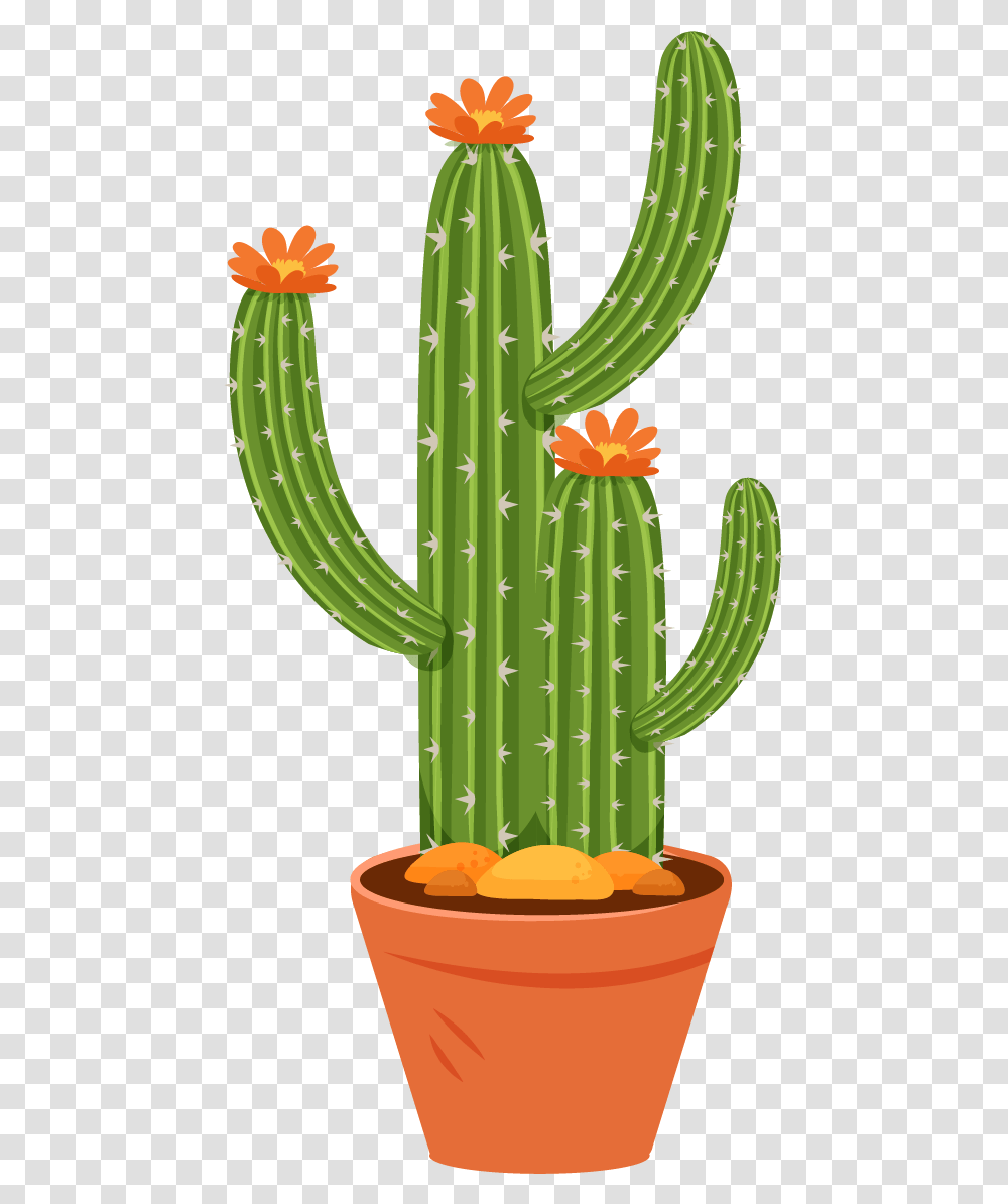 Free Cactus Clip Art, Plant Transparent Png