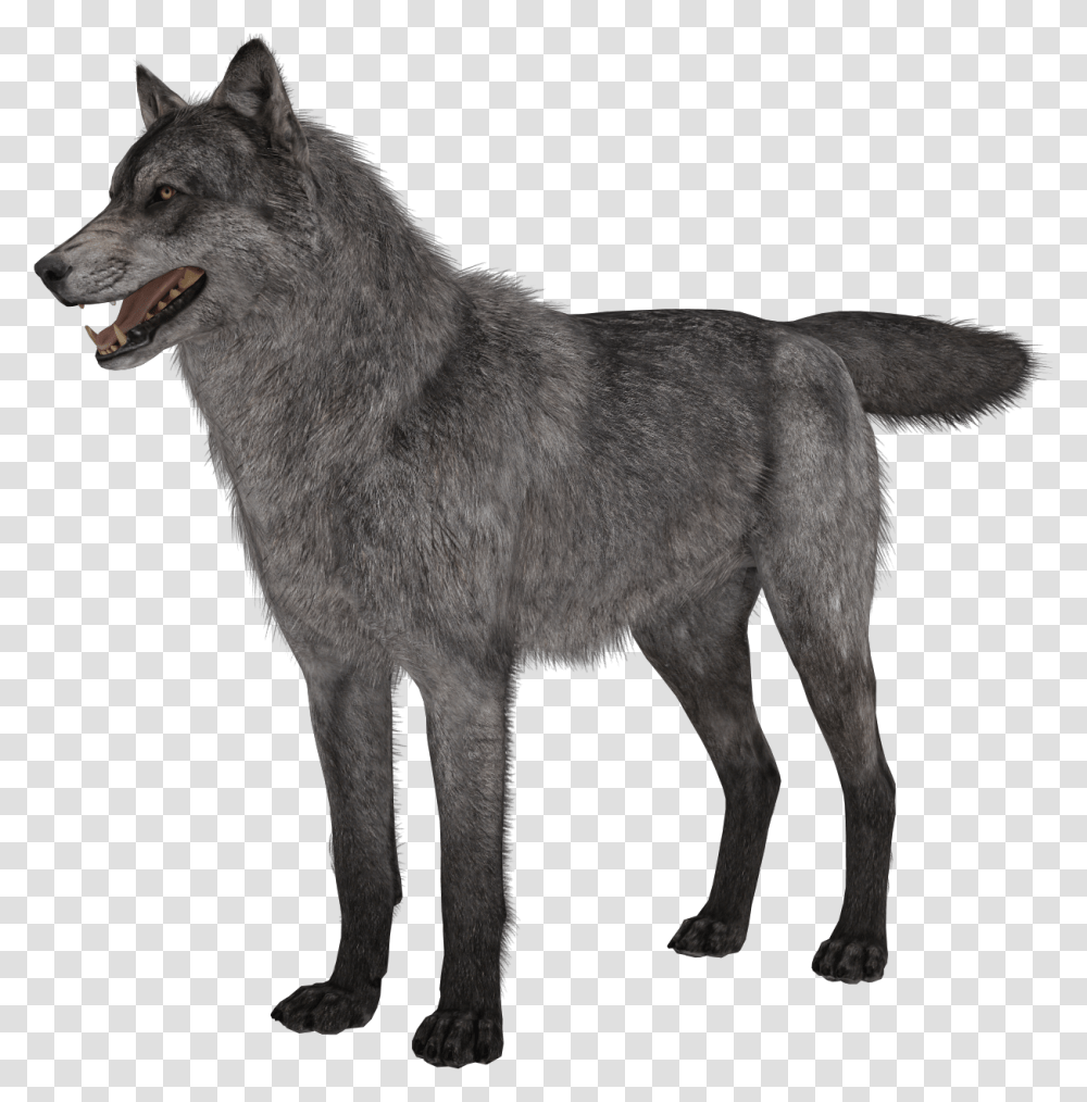 Free Call Of Duty Ghosts Riley Call Of Duty Ghosts Wolves, Coyote, Mammal, Animal, Wolf Transparent Png