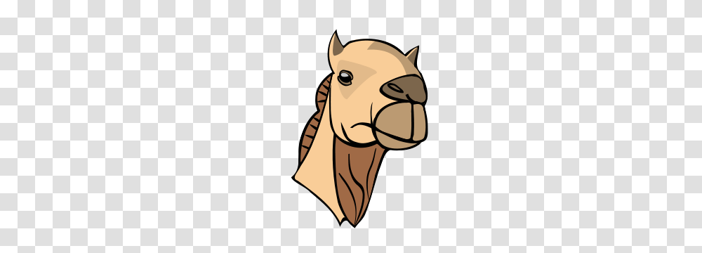 Free Camel Clipart Camel Icons, Animal, Mammal, Head, Beak Transparent Png