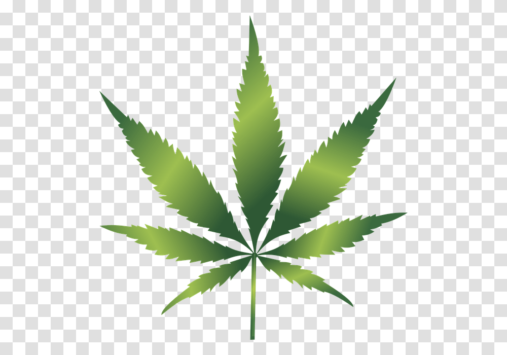 Free Cannabis, Plant, Weed, Hemp, Leaf Transparent Png