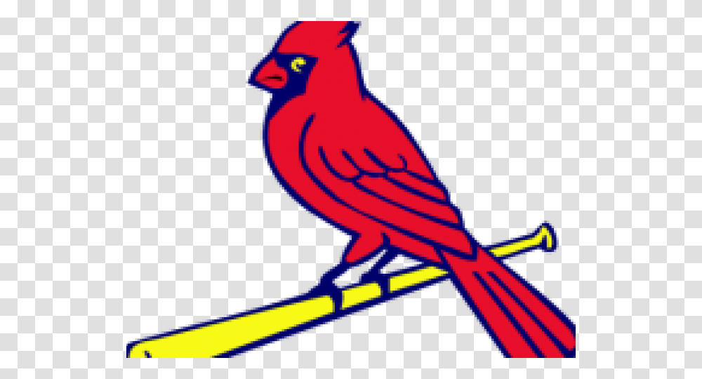 Free Cardinal Clipart, Animal, Bird, Jay Transparent Png