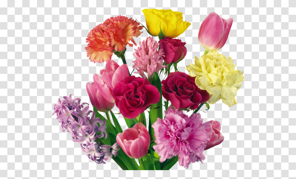 Free Carnation Bouquet Clipart, Plant, Flower, Blossom, Rose Transparent Png