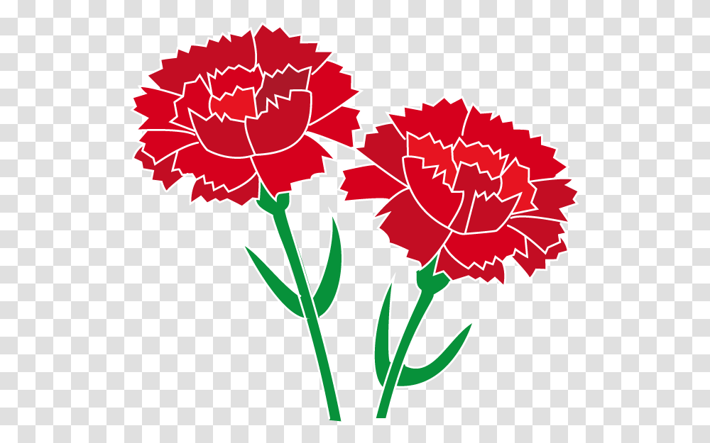 Free Carnation Flower Cliparts Download Clip Art Red Carnation Clip Art, Plant, Blossom, Poster, Advertisement Transparent Png