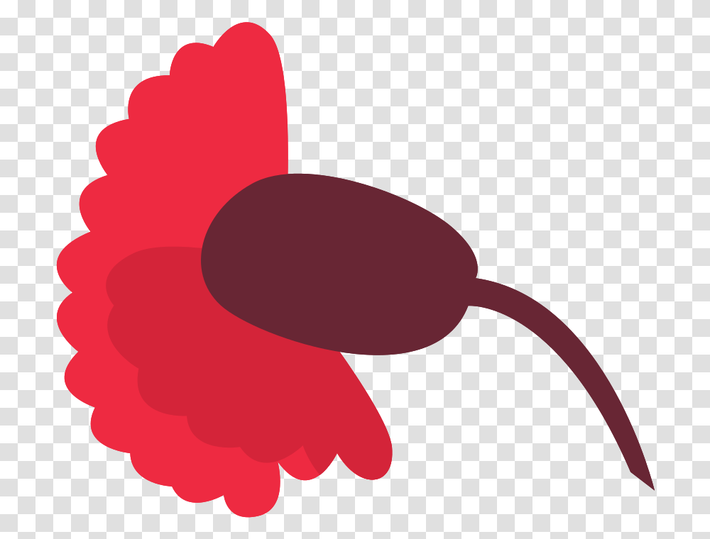 Free Carnation Flower With Clip Art, Plant, Blossom, Hibiscus Transparent Png