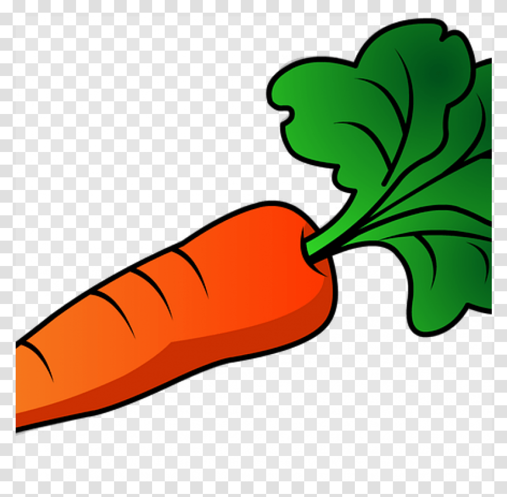 Free Carrot Clipart 19 Carrot Jpg Huge Background Carrot Clipart, Plant, Vegetable, Food Transparent Png