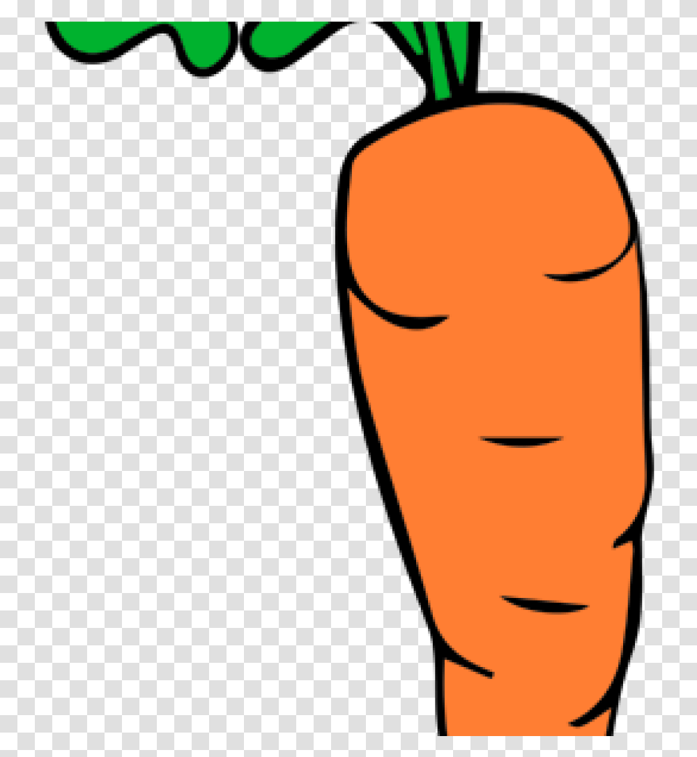 Free Carrot Clipart Carrot Clip Art Free Images Clipart Clipart Carrot, Plant, Vegetable, Food, Head Transparent Png