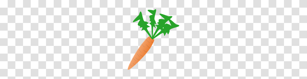 Free Carrot Clipart Carrot Icons, Plant, Vegetable, Food, Produce Transparent Png