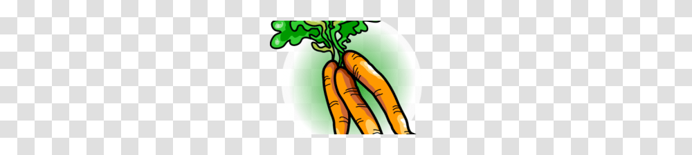 Free Carrot Clipart Free Clip Art, Plant, Vegetable, Food, Root Transparent Png