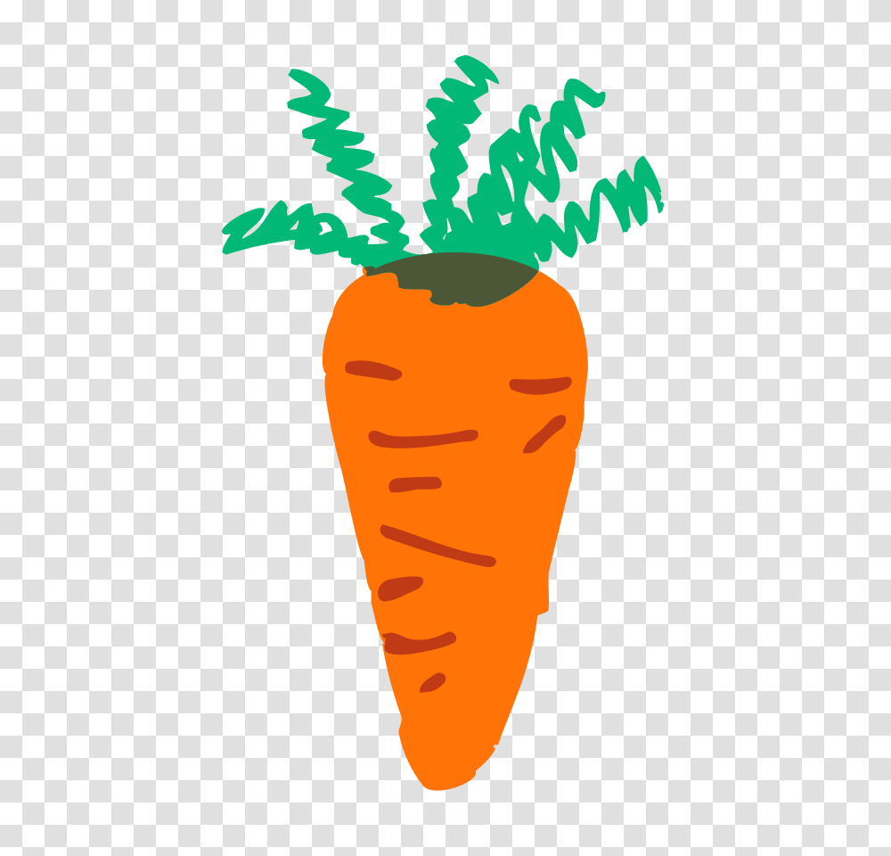 Free Carrot Pictures, Plant, Vegetable, Food, Poster Transparent Png