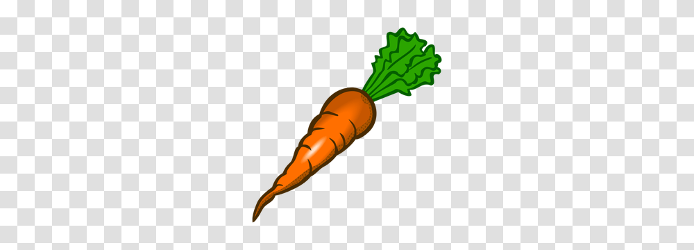 Free Carrot Vector Art, Plant, Vegetable, Food, Produce Transparent Png
