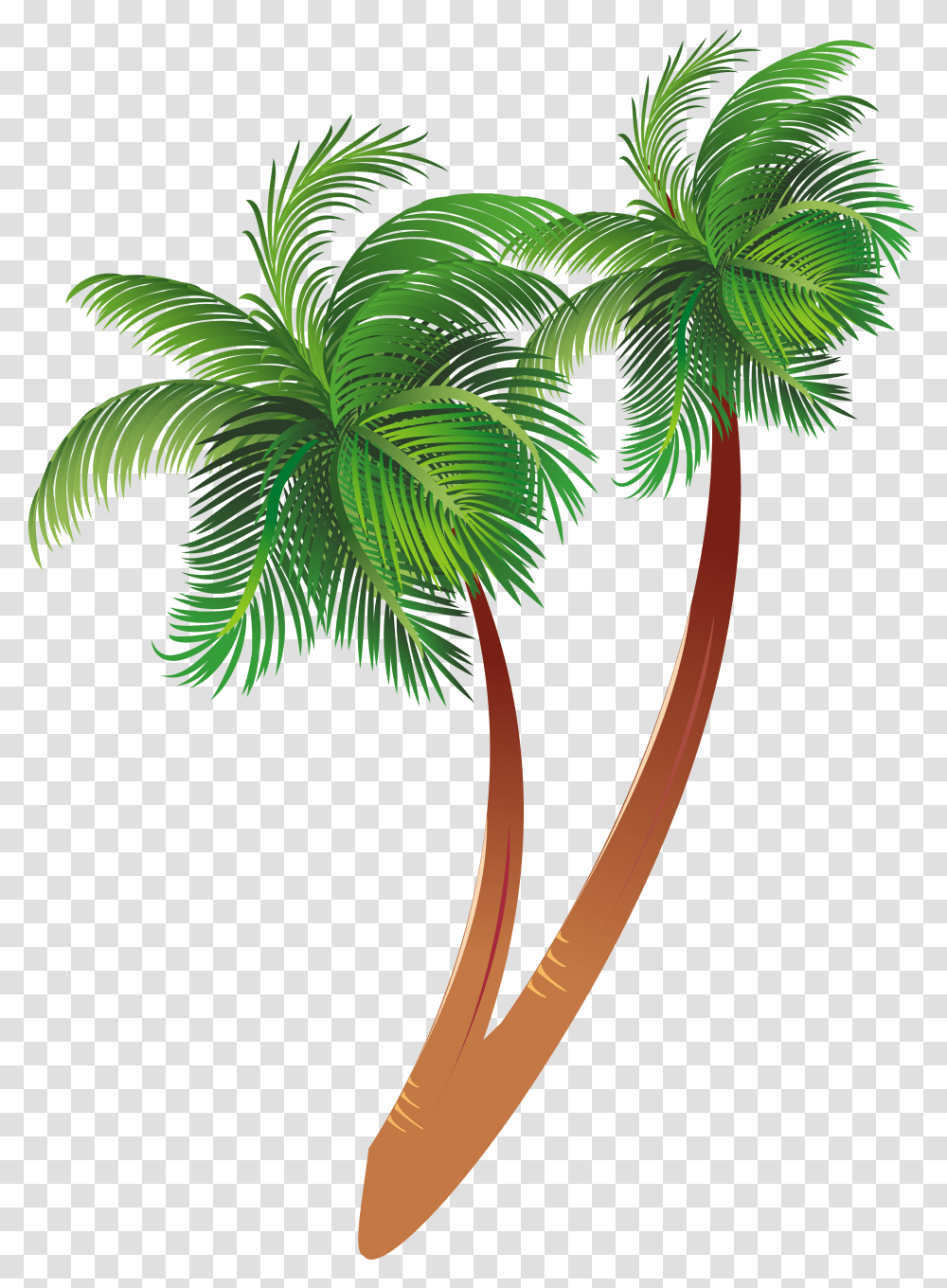 Free Cartoon Palm Tree Clipart Coconut Palm Background Palm Tree Clipart Transparent Png