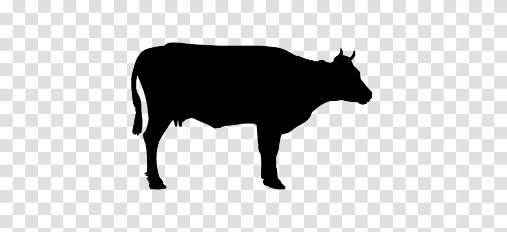 Free Cattle Clipart, Gray, World Of Warcraft Transparent Png