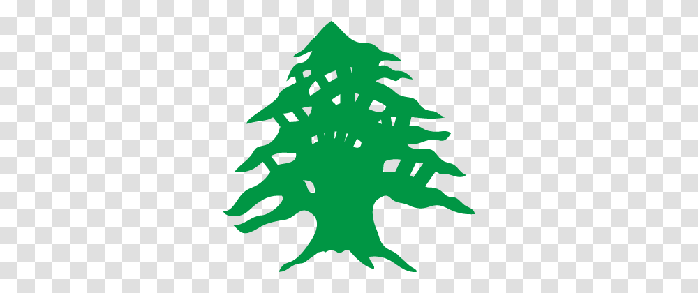Free Cedar Tree Drawing, Leaf, Plant, Star Symbol Transparent Png